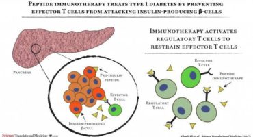 se-demuestra-la-seguridad-de-la-inmunoterapia-para-la-diabetes